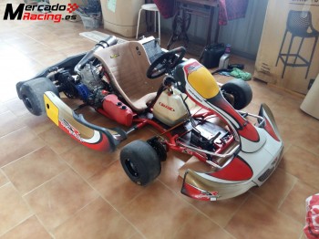 Kart danilo rossi 125 cc 2t año 2014