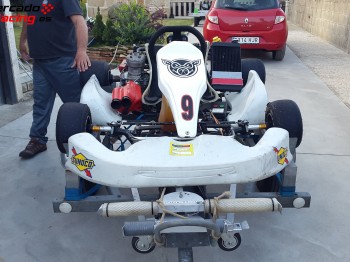 Se vende kart 125cc x30