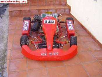 Vendo kart 950€
