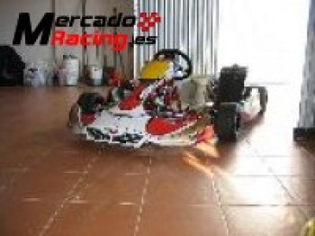 Se vende kart crg daniko rossi.