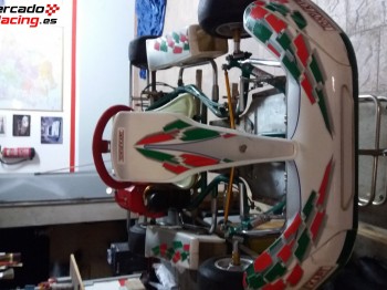 Kart competicion niño tony kart 