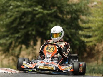 Crg oficial rotax dd2