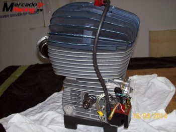 Buscar 100cc iame faluga