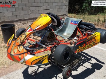 Kart intrepid con rotax 140cc todo nuevo
