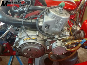 Kart birell 125cc de marchas motor tm racing k9 2009