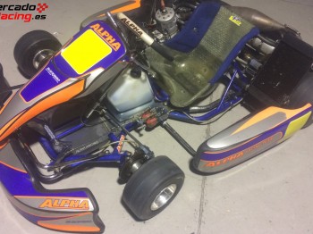 Kart alpha kz buen precio