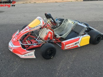 Kz birel art 2015