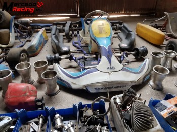 Lote de kart y piezas de repuesgo
