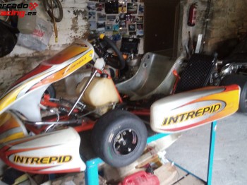 Kart intrepid 125