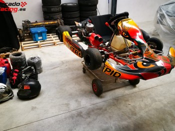 Kart intrepid kz. 