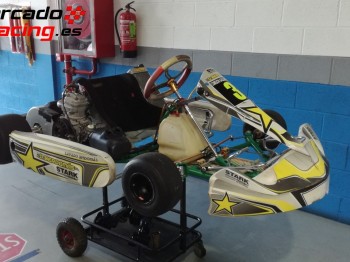 Tony kart 2012 motor x30 2.200€