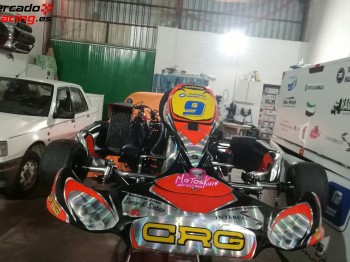 Vendo chasis crg con motor rotax junior