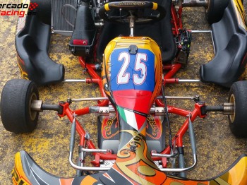Kart intrepid sirius rotax max