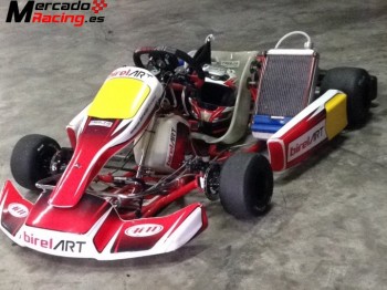 Birel-art kz10b