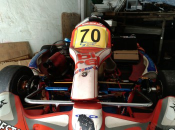 Birel r31 y motor maxter
