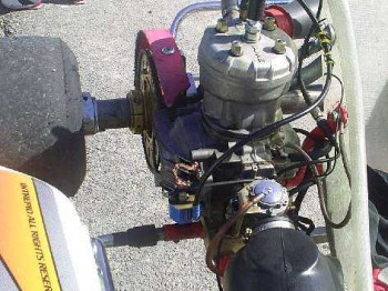 Se vende intrepid-leopard