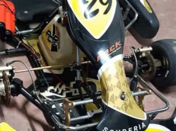 Se vende kart 125 tm kz10b