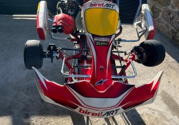 Kart birel art 125