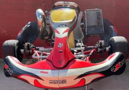 Se vende kart 250 y kart 125