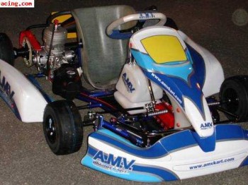 Kart nuevo 3000€