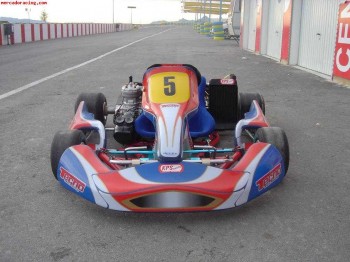 Vendo kart chasis tecno y motor leopart parilla