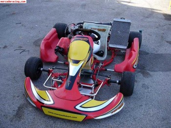 Se vende maranello con 7 meses