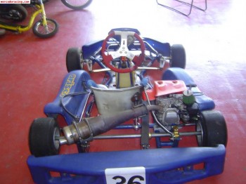 Kart alevin honda 4t