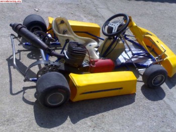 Busco 3 kart de 100cc en buen estado