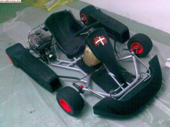 Rotax 100