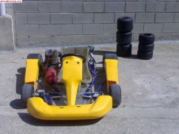 Vendo kart 100!!