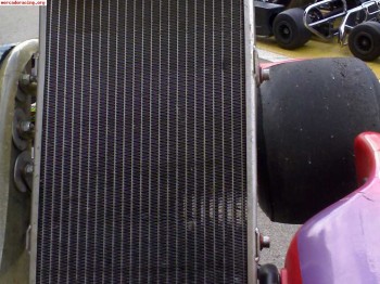 Se vende radiador grande de aluminio