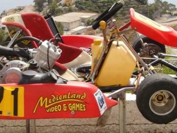 Topkart-pavesi icc 6velocidades 2000€