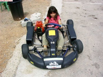 Vendo kart cadete arisco-comer