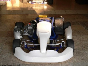 Allkart - pavesi icc oportunidad!!