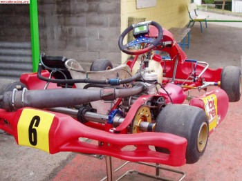 Kart chasis birel motor x30 + accesorios
