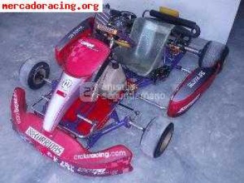 Vendo kart rotax max fr 125