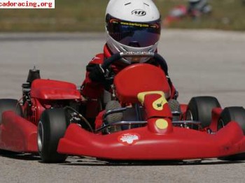 Vendo kart niño chasis birel con motor honda