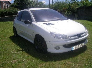 Vendo o cambio peugeot 206 gti