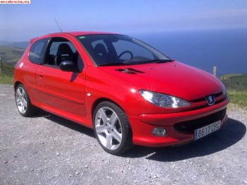 Vendo 206 rc con extras