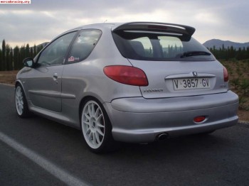 Vendo 206 gt edicion limitada