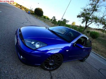 Focus st170 