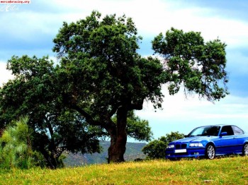 Cambio bmw 325i coupe por otro que me interese