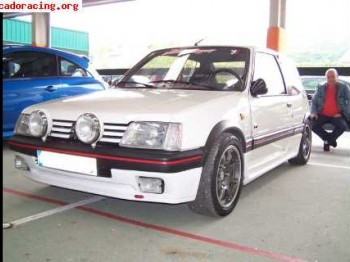 205 gti impoluto (muchos extras tanto exterior como interior