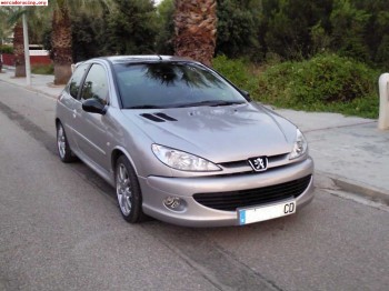 Vendo o cambio 206gt edición limitada.