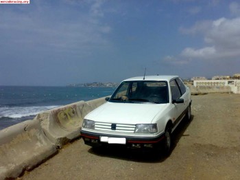 Peugeot 309 gti 1.9 130 cv 8v
