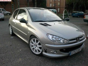 Peugeot 206 1.6 hdi xsi 110cv