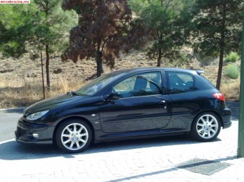206 gti 2004 // 46.000 km // impecable (asturias-madrid)