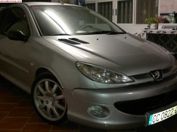 Peugeot 206 gti (gt)