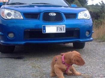 Se vende o cambia subaru impreza 2.0r