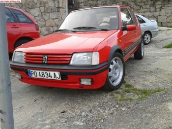 205 gti